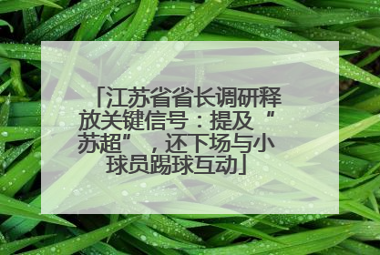 江苏省省长调研释放关键信号：提及“苏超”，还下场与小球员踢球互动